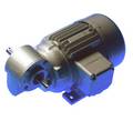 Ruhr snekkegearmotor