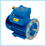 EX motor