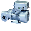 Gearmotor med integreret frekvensomformer