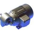Ruhr snekkegearmotor (AC)