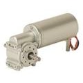 Ruhr snekkegearmotor (DC)